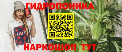 индика Гай