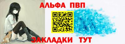 индика Гай