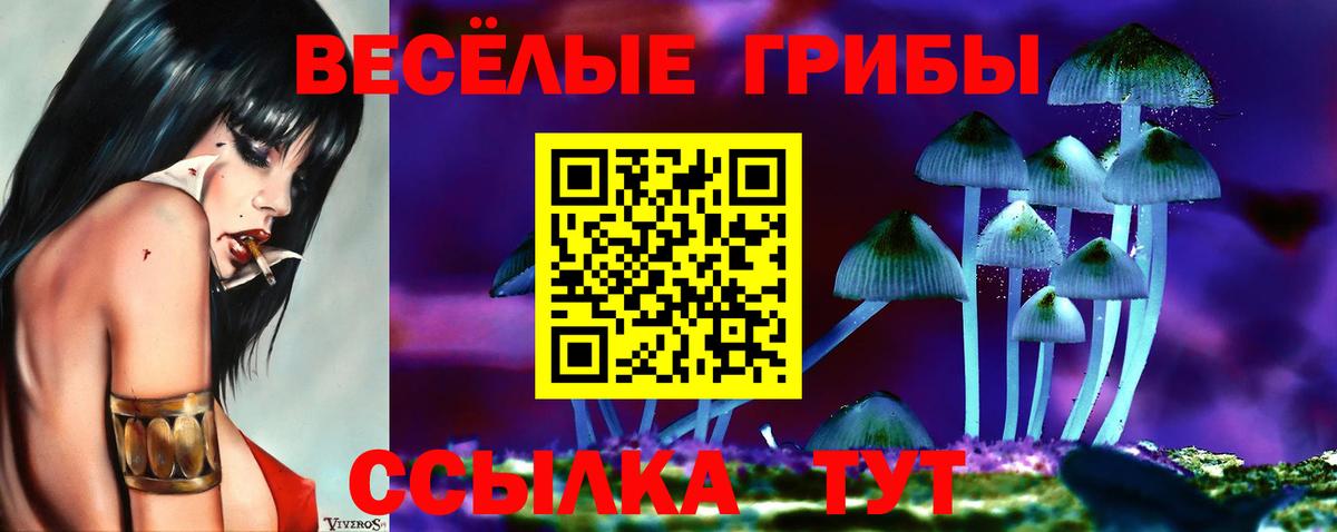 Псилоцибиновые грибы мухоморы  Вход с VPN  Дзержинск 