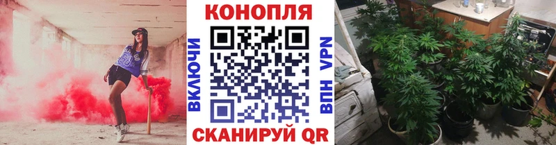 Бошки марихуана VHQ  наркота  Дзержинск 